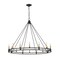 Z-Lite Dennison 16 Light Chandelier, Matte Black 4005-16MB - alternate 7
